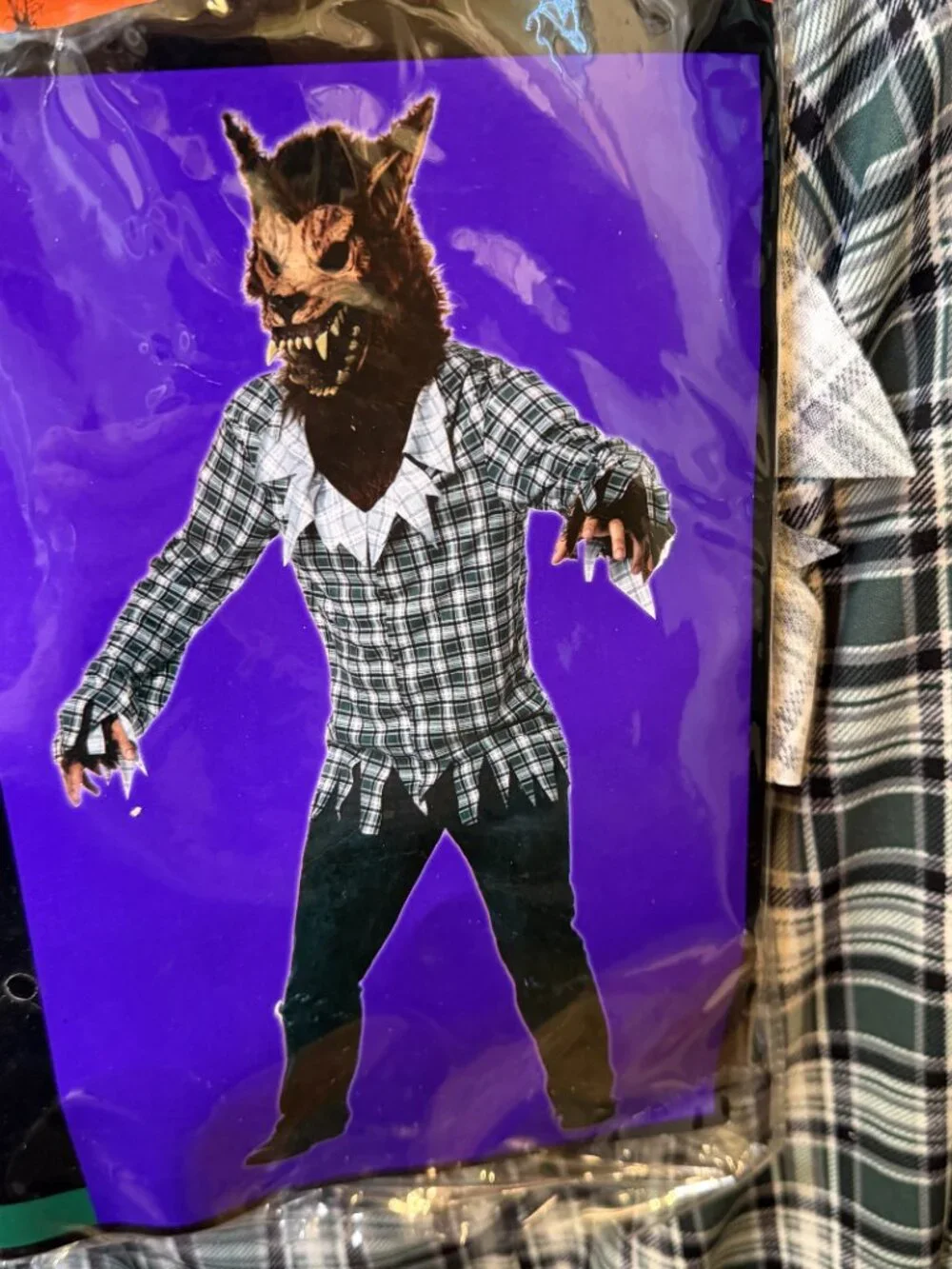 NWT Totally Ghoul California Costumes 